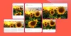 Adobe Content Authenticity: Nový nástroj pro ochranu digitálního obsahu